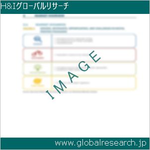 グローバルリサーチ調査レポートのイメージ
